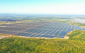 Xuân Thiện Đắk Lắk bị xử phạt do 'ém' thông tin về trái phiếu