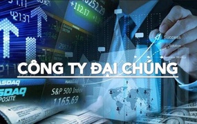 Loạt doanh nghiệp vừa bị hủy tư cách công ty đại chúng