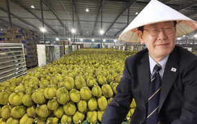 Loại quả của Việt Nam khiến Tổng thống Hàn Quốc ăn không ngừng, xuýt xoa khen ngon - Xuất khẩu sang xứ sở kim chi tăng khủng 300%