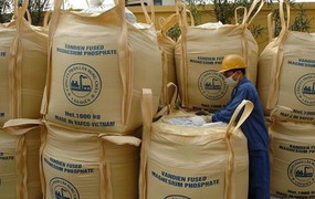 Phân lân Văn Điển bị nhắc nhở vì chậm công bố liên quan BCTC quý I/2026