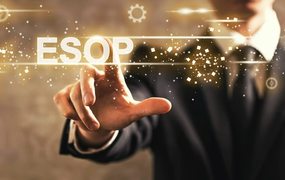 REE muốn phát hành ESOP