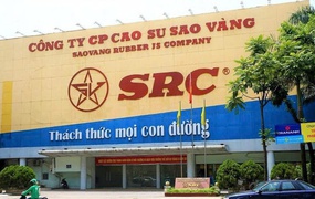 Cao su Sao Vàng tăng vốn lên gần 365 tỷ đồng sau đợt thưởng cổ phiếu