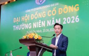 Quốc Cường Gia Lai báo lãi đột biến, thanh toán thêm hơn 100 tỷ đồng cho Sunny Island