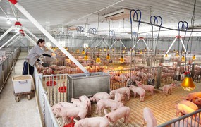 Công ty Khánh Tân bị phạt vì chậm công bố thông tin