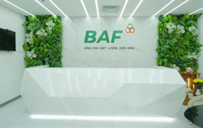 BAF Việt Nam dự kiến phát hành 8 triệu cổ phiếu ESOP