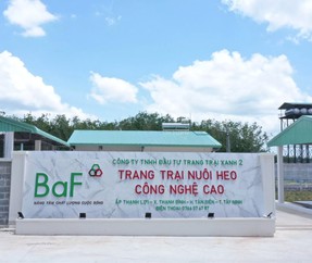 BaF Việt Nam chốt ngày tổ chức ĐHĐCĐ thường niên năm 2026