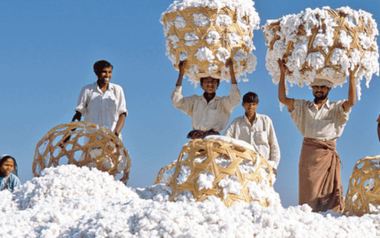 'Khách ruột' Mỹ chi hơn 13 tỷ USD chốt đơn mặt hàng này của Việt Nam, 66 quốc gia khác đua nhau săn mua