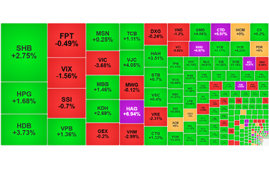 Chứng khoán ngày 29/10: Số mã xanh áp đảo, VN-Index tiếp đà tăng