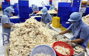 Công ty con của Vĩnh Hoàn muốn huy động gần 465 tỷ đồng để làm gì?