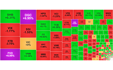 Chứng khoán ngày 13/11: DGC 'cháy hàng', VN-Index điều chỉnh nhẹ
