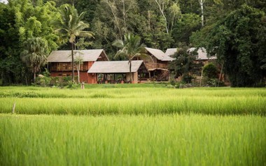 Bán chung cư 6,5 tỷ giữa Hà Nội để về miền Trung “sống chậm”, một năm sau, đôi vợ chồng trẻ nhận ra: Bình yên chưa thấy, hối hận đã tràn ngập