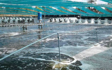 Mỹ, Trung Quốc đang đua nhau săn lùng kho báu đứng thứ 2 thế giới của Việt Nam: Nước ta có công nghệ chế biến dẫn đầu, vừa thu về gần 4 tỷ USD