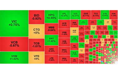 Chứng khoán ngày 21/11: Khối ngoại xả mạnh VIX, VN-Index giảm nhẹ