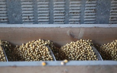 Trung Quốc quay lưng dừng nhập khẩu, Mỹ tăng mạnh đưa một mặt hàng vào Việt Nam với giá siêu rẻ, nước ta tiêu thụ thứ 3 thế giới