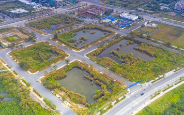 TP.HCM lên kế hoạch đấu giá 7 lô đất Khu đô thị mới Thủ Thiêm