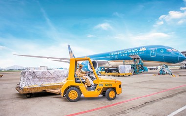 Dịch vụ Hàng hóa Nội Bài sắp chia cổ tức bằng tiền mặt tỷ lệ 80%