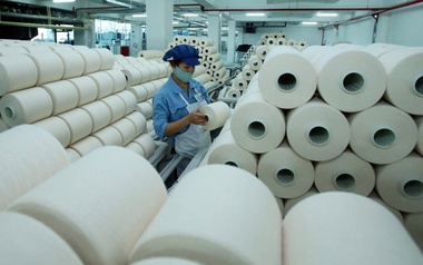 Sợi Thế Kỷ bị truy thu và nộp bồi hoàn thuế hơn 444 triệu đồng