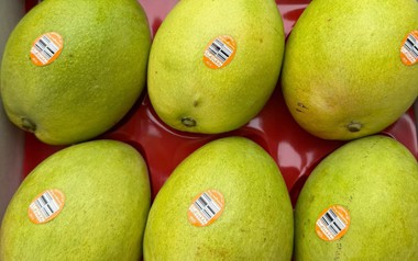 Một loại trái cây nhập khẩu từ Úc về Việt Nam giá hơn nửa triệu đồng/kg, gấp nhiều lần hàng nội