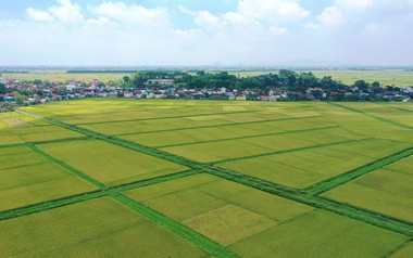 Đối tượng nào được miễn thuế sử dụng đất nông nghiệp đến hết năm 2030?