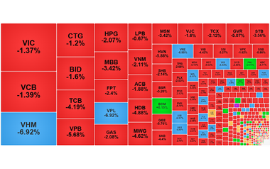 Chứng khoán ngày 12/12: VN-Index xuống dưới mốc 1.650 điểm