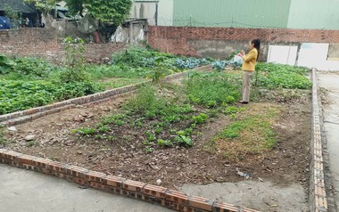 Từ 1/1/2026, chính thức giảm 70% tiền chuyển đất nông nghiệp lên đất thổ, người dân cần chú ý