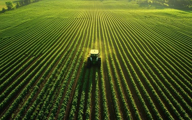 Quy mô vốn hàng trăm tỷ đồng, Agronexus Capital vẫn chậm đóng bảo hiểm