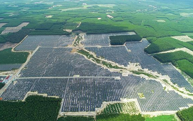 Năng lượng tái tạo Sơn Mỹ tất toán 2 lô trái phiếu trước hạn