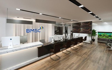 Chứng khoán Bảo Minh không còn là cổ đông tại Bidiphar