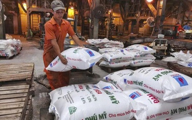 Đạm Phú Mỹ sắp chi hơn 587 tỷ đồng trả cổ tức cho cổ đông