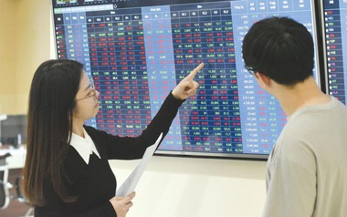Thị phần môi giới sàn HoSE quý II/2025: SSI và VNDirect bứt phá mạnh