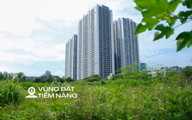 Toàn cảnh khu đất vàng rộng 6 ha vừa được thu hồi để xây nhà thấp tầng, đối diện dự án có biệt thự 1 tỷ đồng/m2 của Vinhomes