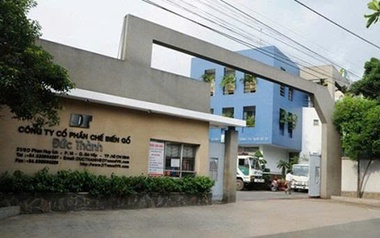 Vi phạm trong lĩnh vực chứng khoán, Gỗ Đức Thành bị phạt hơn 200 triệu đồng