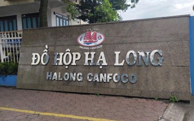 Bắt khẩn cấp Tổng giám đốc Công ty CP Đồ hộp Hạ Long cùng 3 nhân viên