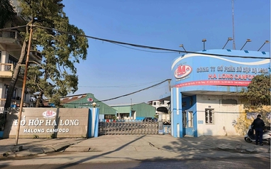 Khởi tố Tổng giám đốc Công ty Đồ hộp Hạ Long