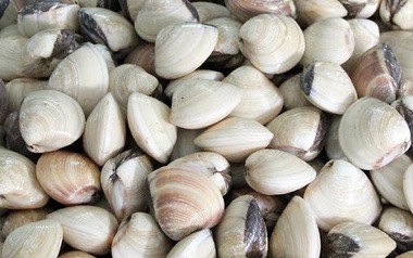 Hộ kinh doanh ngao thắc mắc, trường hợp nào chịu thuế GTGT khi vừa tự nuôi, vừa mua lại để bán? Cục Thuế trả lời