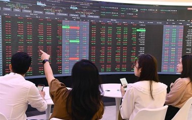 Thị phần môi giới sàn HoSE năm 2025 biến động ra sao?