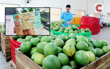 Cục Thuế nói rõ việc yêu cầu người bán hàng phải cung cấp CCCD để kê khai
