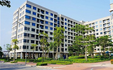 Một doanh nghiệp được giao hơn 2.400m2 đất để làm dự án nhà ở xã hội Liên Hà