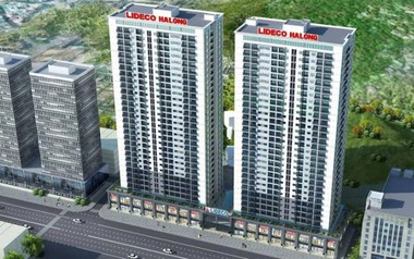 Phó Chủ tịch Lideco liên tiếp đăng ký mua cổ phiếu NTL