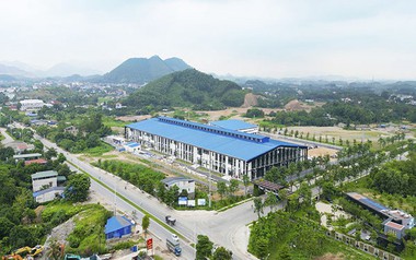 Nhóm Dragon Capital trở lại ghế cổ đông lớn tại TNG
