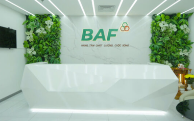 Baf Việt Nam chốt ngày chào bán hơn 40 triệu cổ phiếu cho cổ đông