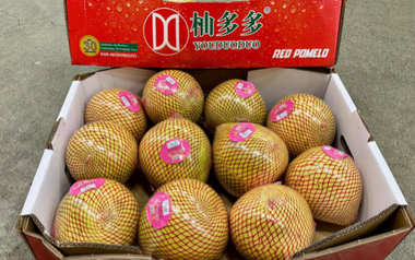 Trung Quốc được mùa với loại quả Việt Nam đang trồng rất nhiều: Châu Âu liên tục chốt đơn, diện tích trồng hơn 100.000 ha