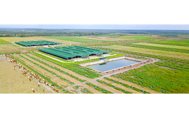 Vì sao Thaco Agri bị xử phạt?