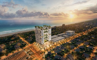 Vì sao API bị xử phạt hành chính?