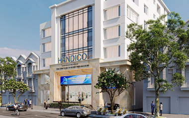 Thanh tra hoạt động liên doanh, góp vốn, thoái vốn tại Handico