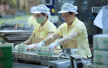 Chủ hãng sữa Fami lãi ròng gần 450 tỷ đồng trong quý III/2026, biên lợi nhuận gộp cải thiện