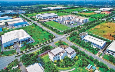 Tandoland bị xử phạt vì chậm công bố thông tin