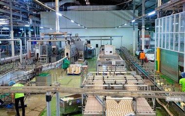 Gần 224.000 doanh nghiệp thành lập mới và quay trở lại hoạt động