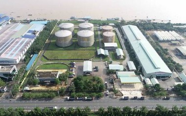 Công nghệ An Phát và Dầu khí Nam Sông Hậu nhận án phạt