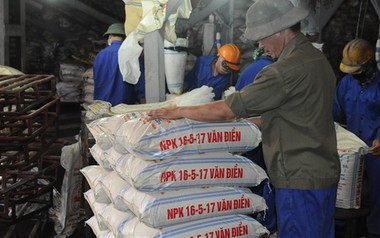 Phân lân Văn Điển bổ nhiệm một Phó Tổng Giám đốc